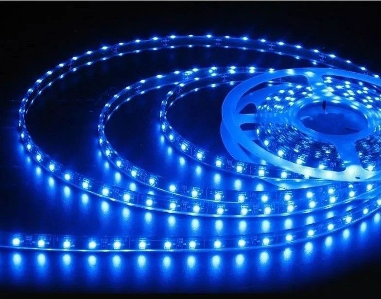 Tira LED SMD2835, 12V 12W/m, Azul 480nm, 900 lm/m, 60 LED/m, 5m